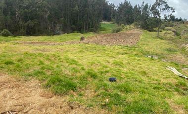 Vendo propiedad de 3 hectáreas