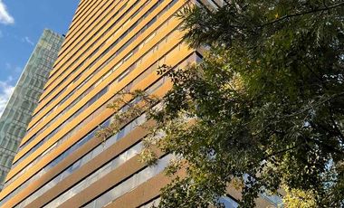 RENTA DEPARTAMENTO EN PALMAS KAMERUN LOMAS DE CHAPULTEPEC