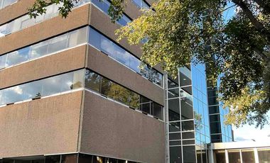 RENTA DEPARTAMENTO EN PALMAS KAMERUN LOMAS DE CHAPULTEPEC