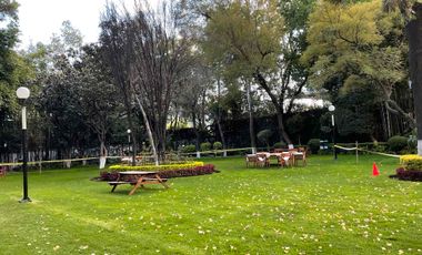 RENTA DEPARTAMENTO EN PALMAS KAMERUN LOMAS DE CHAPULTEPEC