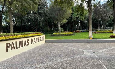 RENTA DEPARTAMENTO EN PALMAS KAMERUN LOMAS DE CHAPULTEPEC