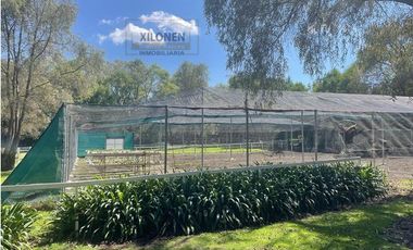 Rancho Señorial Privilegiado, con 3 Pozos y Bella Ecología. Casa estilo Mediterránea amueblada, con alberca, 10 caballerizas: Frontón y Pádel tenis.