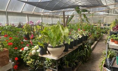 Rancho Señorial Privilegiado, con 3 Pozos y Bella Ecología. Casa estilo Mediterránea amueblada, con alberca, 10 caballerizas: Frontón y Pádel tenis.