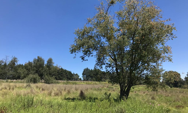 Rancho en venta con Pozo en Villa Del Carbón Edo.Méx.,Bella ecología,servicios necesarios, a solo 7 Min. Del Jardín Central. Inversión Patrimonial !!!