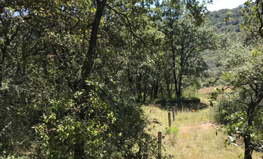 Rancho en venta con Pozo en Villa Del Carbón Edo.Méx.,Bella ecología,servicios necesarios, a solo 7 Min. Del Jardín Central. Inversión Patrimonial !!!