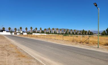 VENDE HERMOSO TERRENO PLANO.OLIVAR