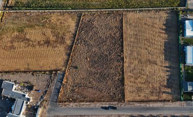 VENDE HERMOSO TERRENO PLANO.OLIVAR