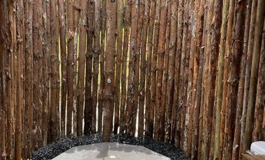 CASA CAMPESTRE CON DOS GLAMPING EN EXCLUSIVO LOTE DE LA UNION