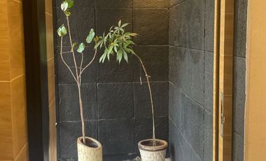 OFICINA EJECUTIVA AMUEBLADA EN COL. LA PAZ