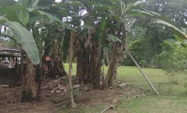 PUERTO QUITO, VENTA DE HERMOSA QUINTA JUNTO AL RIO CAONI, PLANITA