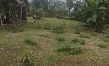 PUERTO QUITO, VENTA DE HERMOSA QUINTA JUNTO AL RIO CAONI, PLANITA