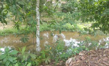 PUERTO QUITO, VENTA DE HERMOSA QUINTA JUNTO AL RIO CAONI, PLANITA