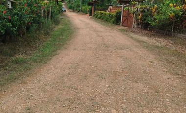 PUERTO QUITO, VENTA DE HERMOSA QUINTA JUNTO AL RIO CAONI, PLANITA