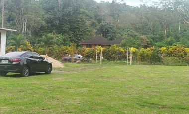 PUERTO QUITO, VENTA DE HERMOSA QUINTA JUNTO AL RIO CAONI, PLANITA