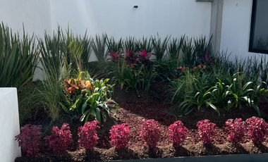 Departamento seminuevo en renta cerca CUCEI y Forum Tlaquepaque de 1 recámara