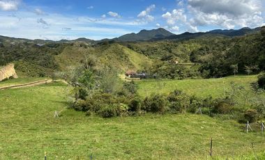 FINCA DE TRABAJO 30 CUADRAS CON AGUAS Y MEJORAS