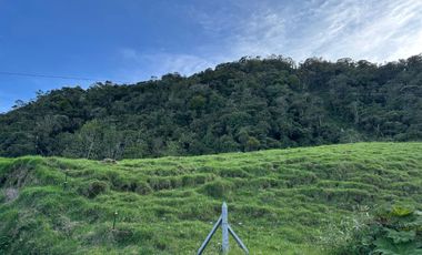 FINCA DE TRABAJO 30 CUADRAS CON AGUAS Y MEJORAS