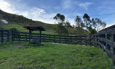 FINCA DE TRABAJO 30 CUADRAS CON AGUAS Y MEJORAS