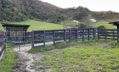 FINCA DE TRABAJO 30 CUADRAS CON AGUAS Y MEJORAS
