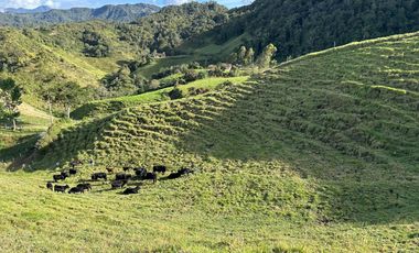 FINCA DE TRABAJO 30 CUADRAS CON AGUAS Y MEJORAS
