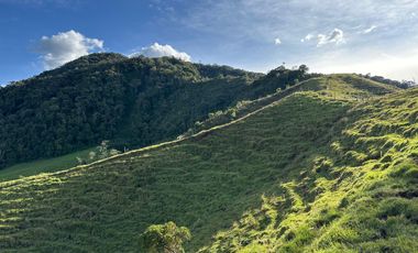 FINCA DE TRABAJO 30 CUADRAS CON AGUAS Y MEJORAS