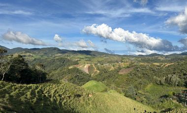 FINCA DE TRABAJO 30 CUADRAS CON AGUAS Y MEJORAS