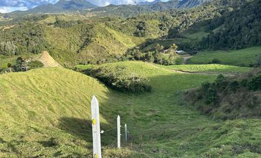 FINCA DE TRABAJO 30 CUADRAS CON AGUAS Y MEJORAS