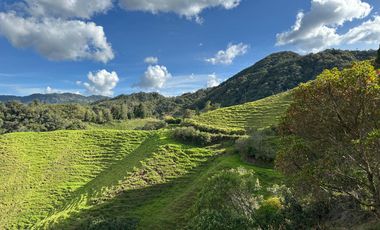 FINCA DE TRABAJO 30 CUADRAS CON AGUAS Y MEJORAS