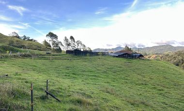 FINCA DE TRABAJO 30 CUADRAS CON AGUAS Y MEJORAS