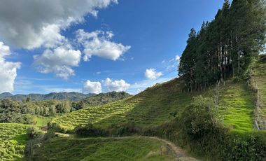 FINCA DE TRABAJO 30 CUADRAS CON AGUAS Y MEJORAS