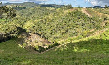 FINCA DE TRABAJO 30 CUADRAS CON AGUAS Y MEJORAS