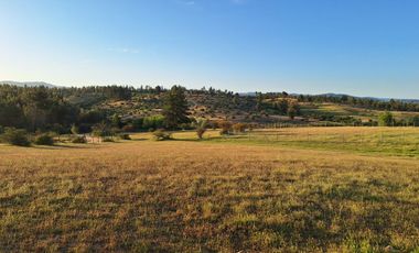 Parcela comuna Pichilemu 20min.