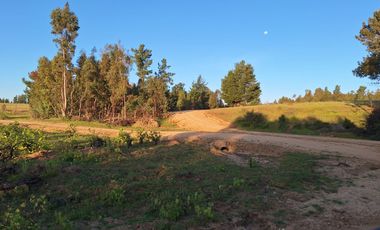 Parcela comuna Pichilemu 20min.