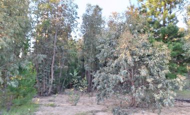 Parcela comuna Pichilemu 20min.