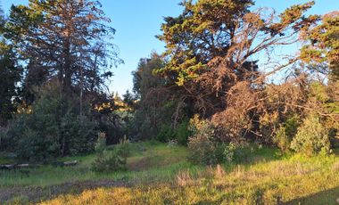 Parcela comuna Pichilemu 20min.