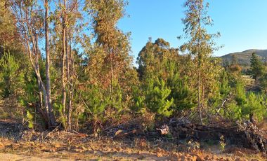 Parcela comuna Pichilemu 20min.