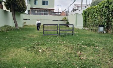 Departamento en alquiler