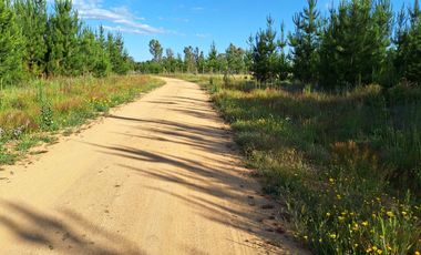 Terreno Parcela Pichilemu Cahuil Bucalemu