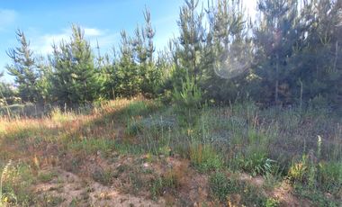 Terreno Parcela Pichilemu Cahuil Bucalemu