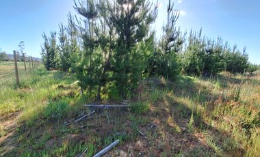 Terreno Parcela Pichilemu Cahuil Bucalemu