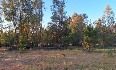 Terreno Parcela Pichilemu Cahuil Bucalemu