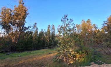 Terreno Parcela Pichilemu Cahuil Bucalemu