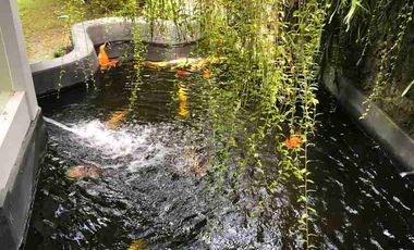 Rumah Modern dengan Kebun Luas di Tukad Badung Renon