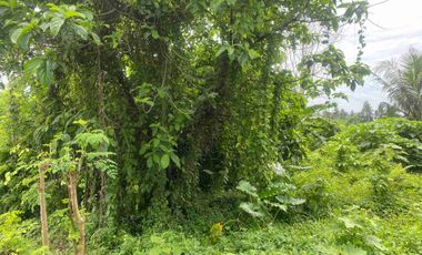 prehold 9 are  zona ping 3 menit ke kota ubud