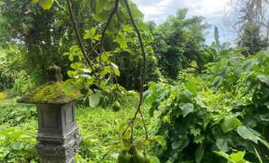 prehold 9 are  zona ping 3 menit ke kota ubud