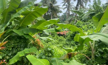 prehold 9 are  zona ping 3 menit ke kota ubud