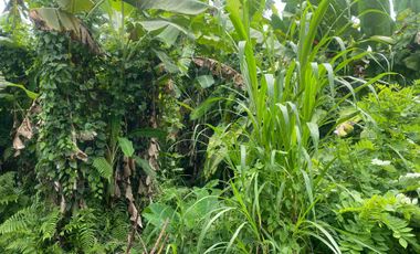 prehold 9 are  zona ping 3 menit ke kota ubud