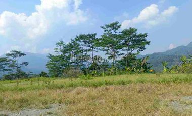 jual murah tanah tanjungsari Cariu 6ha bawah pasar