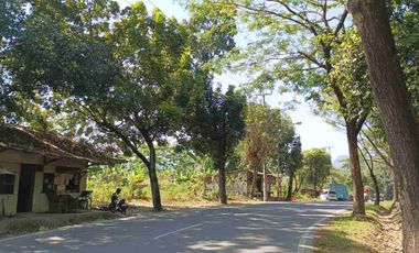 jual murah tanah tanjungsari Cariu 6ha bawah pasar