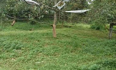 Kavling strategis di jalan raya Sukorejo